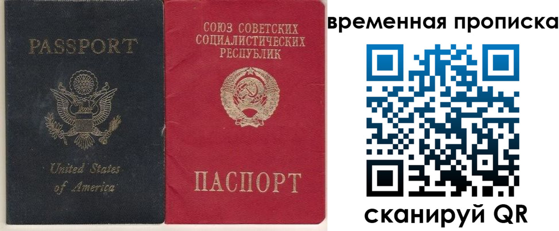 прописка для школы в Моздоке